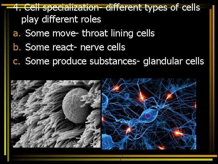 4. Cell specialization- different types of cells play different roles a. Some move- throat