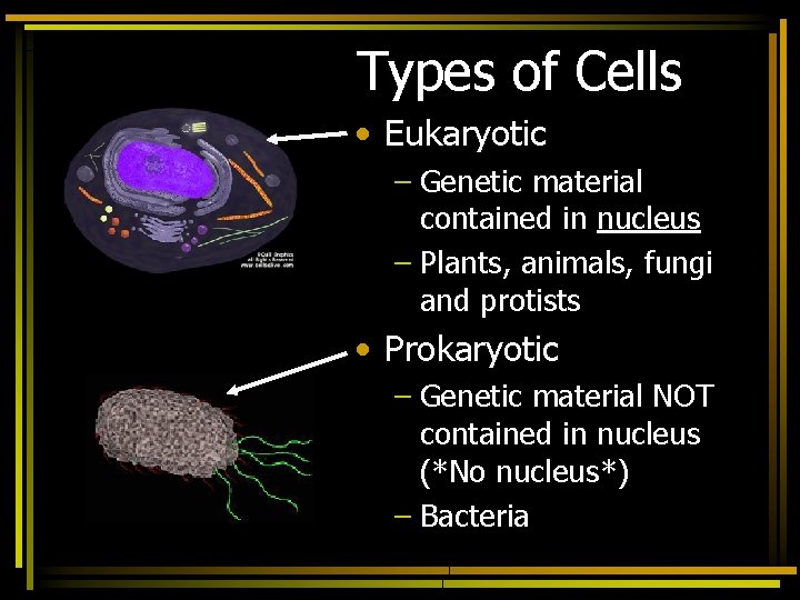 Types of Cells • Eukaryotic – Genetic material contained in nucleus – Plants, animals,