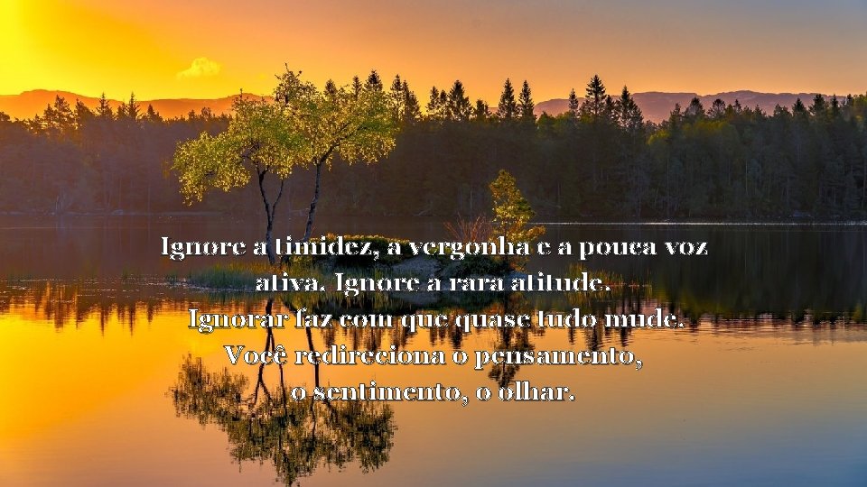 Ignore a timidez, a vergonha e a pouca voz ativa. Ignore a rara atitude.
