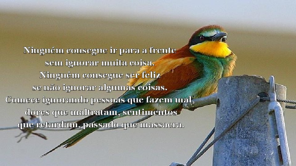 Ninguém consegue ir para a frente sem ignorar muita coisa. Ninguém consegue ser feliz