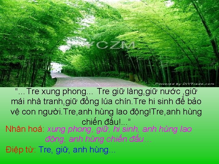 “…Tre xung phong… Tre giữ làng, giữ nước , giữ mái nhà tranh, giữ