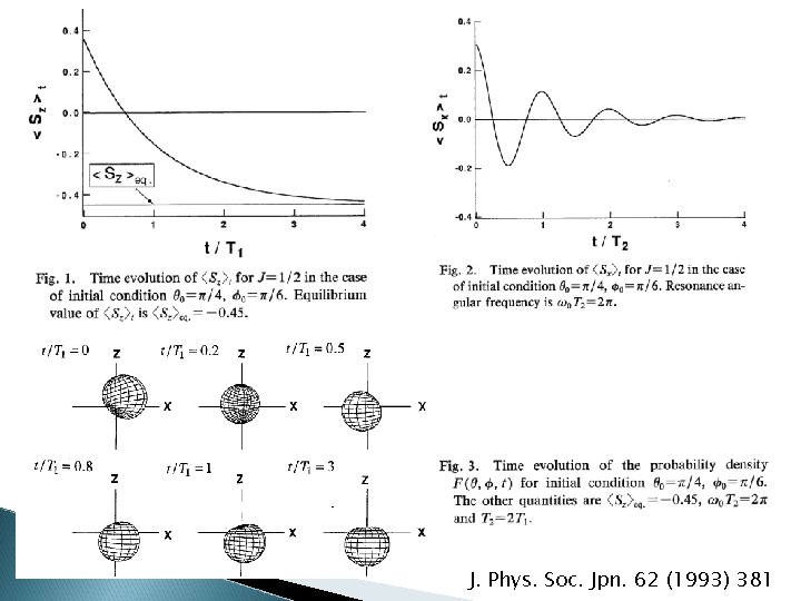 J. Phys. Soc. Jpn. 62 (1993) 381 