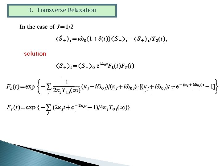 3. Transverse Relaxation solution 