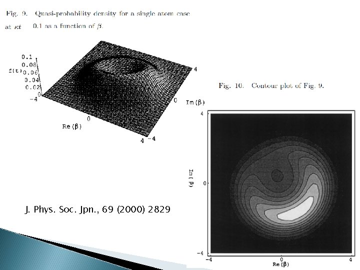 J. Phys. Soc. Jpn. , 69 (2000) 2829 