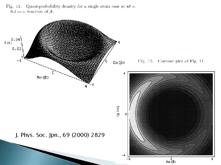 J. Phys. Soc. Jpn. , 69 (2000) 2829 