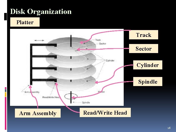 Disk Organization Platter Track Sector Cylinder Spindle Arm Assembly Read/Write Head 16 