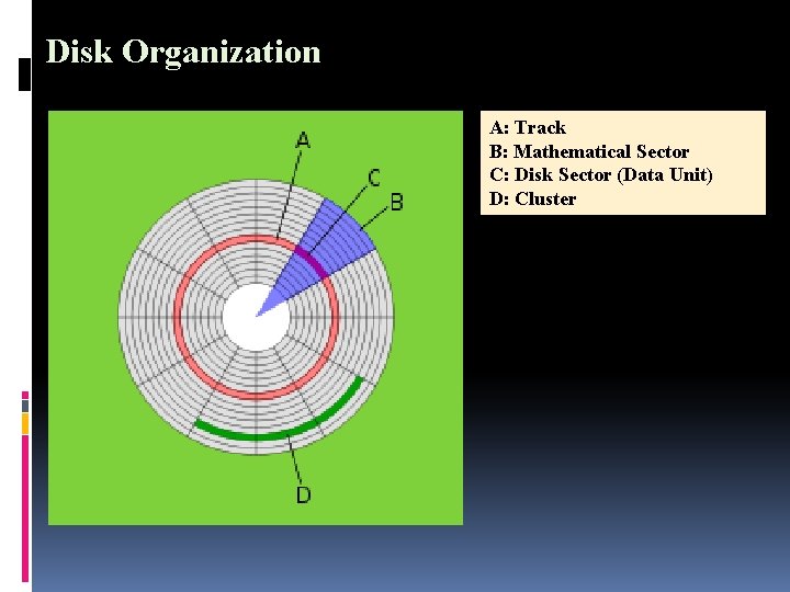 Disk Organization A: Track B: Mathematical Sector C: Disk Sector (Data Unit) D: Cluster
