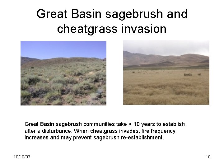 Great Basin sagebrush and cheatgrass invasion Great Basin sagebrush communities take > 10 years