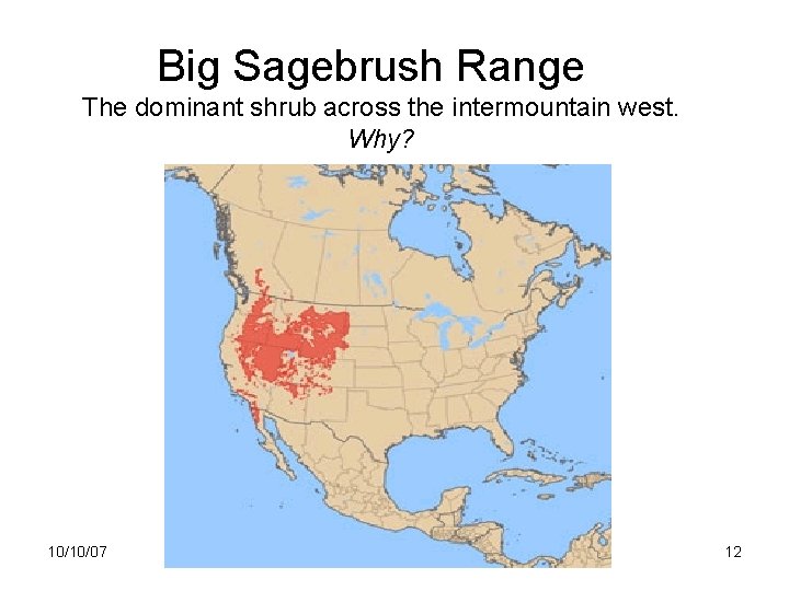 Big Sagebrush Range The dominant shrub across the intermountain west. Why? 10/10/07 12 
