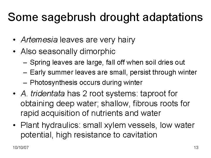 Some sagebrush drought adaptations • Artemesia leaves are very hairy • Also seasonally dimorphic