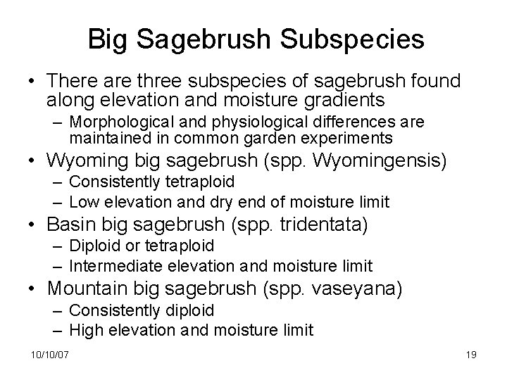 Big Sagebrush Subspecies • There are three subspecies of sagebrush found along elevation and