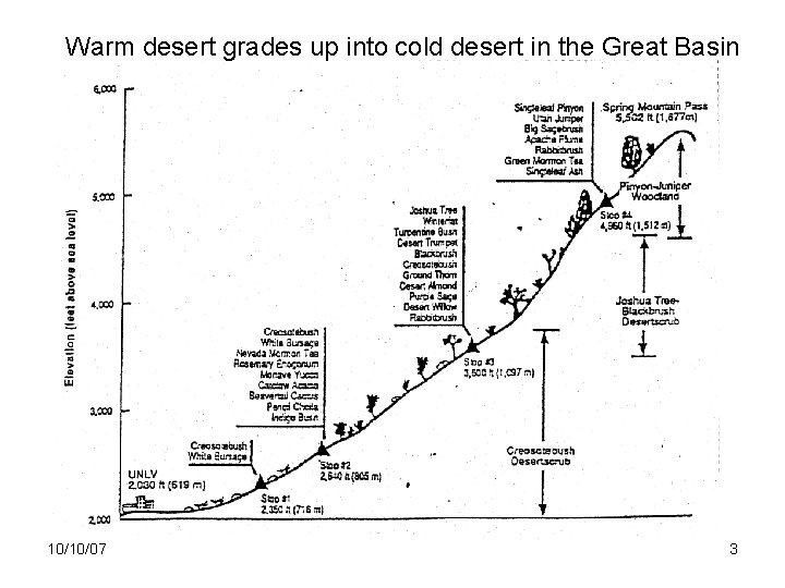 Warm desert grades up into cold desert in the Great Basin 10/10/07 3 