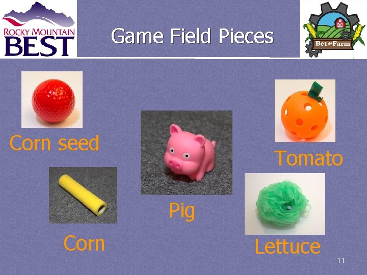Game Field Pieces Corn seed Tomato Pig Corn Lettuce 11 