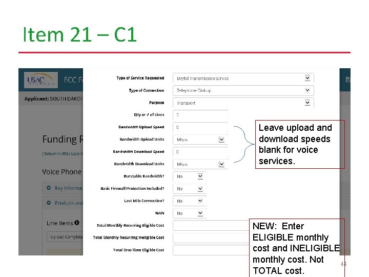 Item 21 – C 1 Leave upload and download speeds blank for voice services.