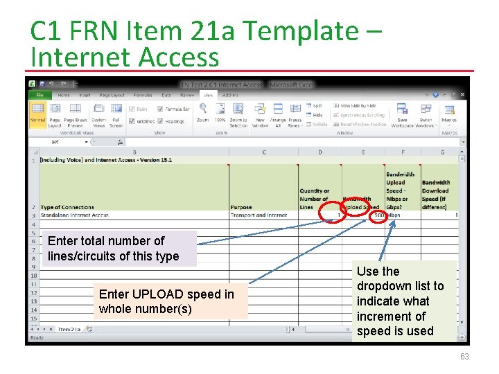 C 1 FRN Item 21 a Template – Internet Access Enter total number of