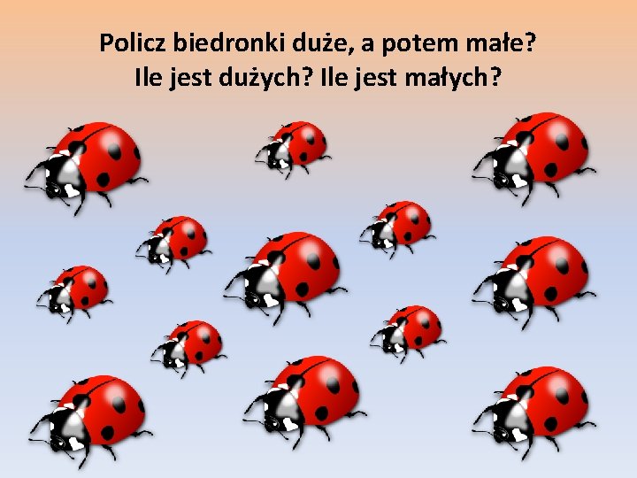 Policz biedronki duże, a potem małe? Ile jest dużych? Ile jest małych? 