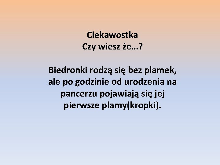 Ciekawostka Czy wiesz że…? Biedronki rodzą się bez plamek, ale po godzinie od urodzenia