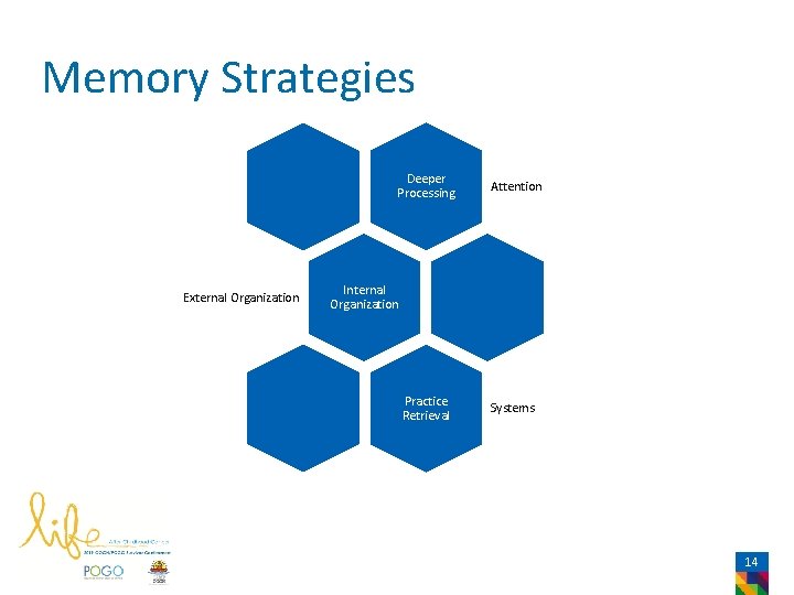 Memory Strategies Deeper Processing External Organization Attention Internal Organization Practice Retrieval Systems 14 