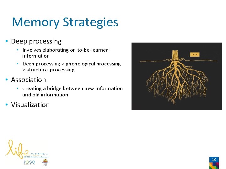 Memory Strategies • Deep processing • Involves elaborating on to-be-learned information • Deep processing
