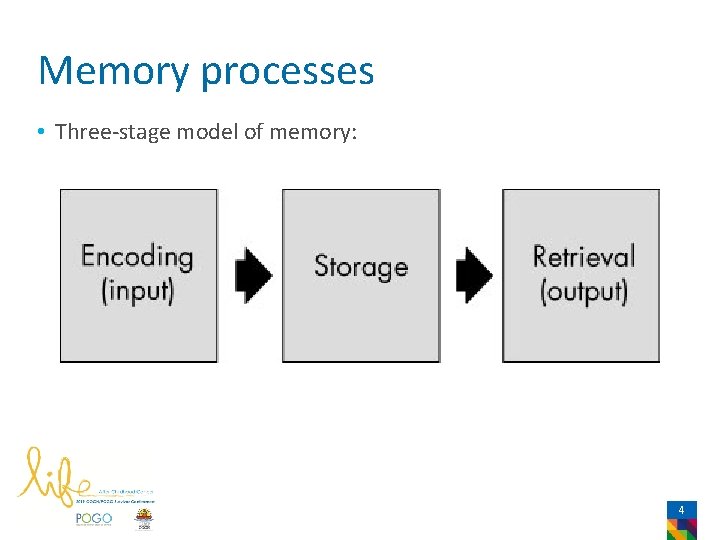 Memory processes • Three-stage model of memory: 4 