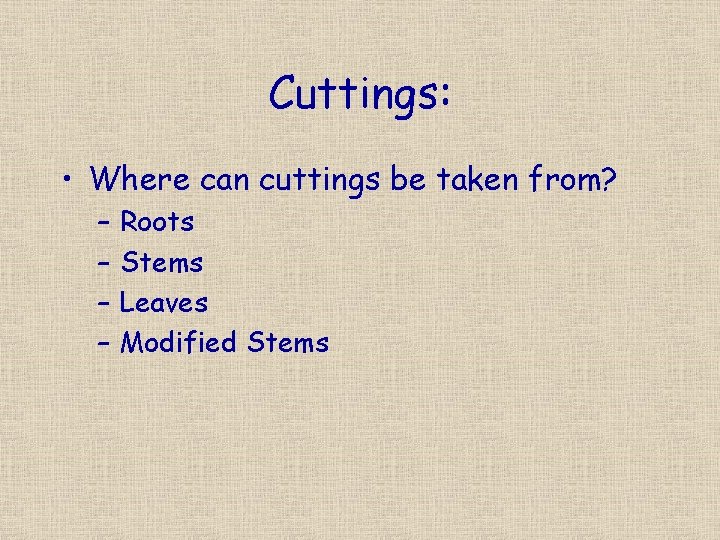 Cuttings: • Where can cuttings be taken from? – – Roots Stems Leaves Modified