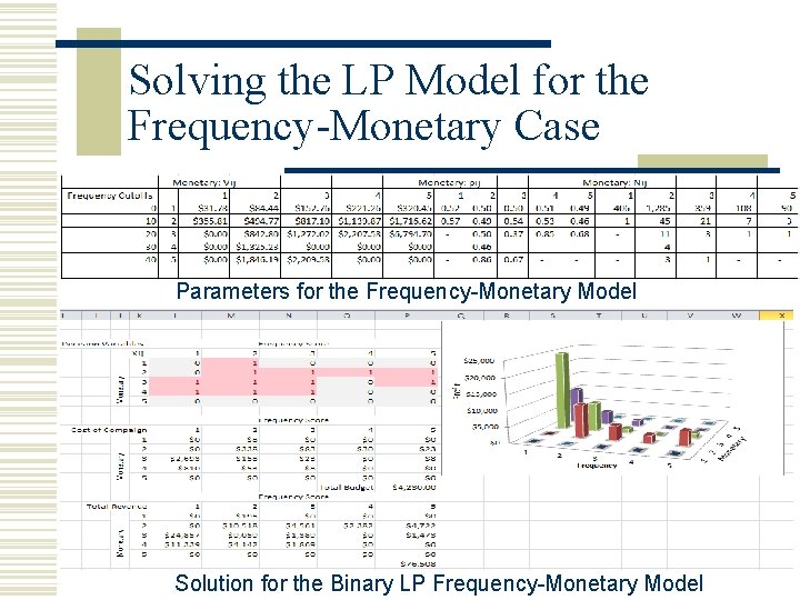 Solving the LP Model for the Frequency-Monetary Case Parameters for the Frequency-Monetary Model Solution