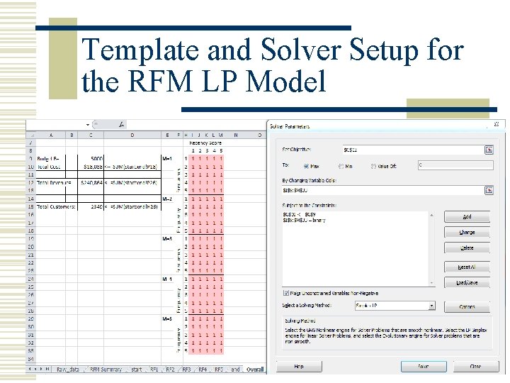 Template and Solver Setup for the RFM LP Model 