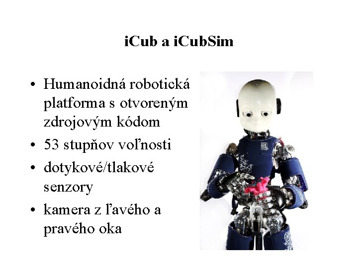 i. Cub a i. Cub. Sim • Humanoidná robotická platforma s otvoreným zdrojovým kódom