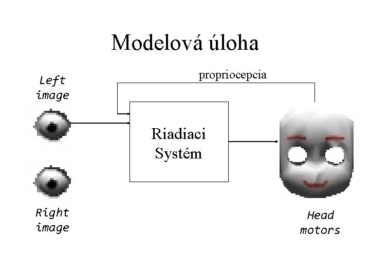 Modelová úloha Left image propriocepcia Riadiaci Systém Right image Head motors 