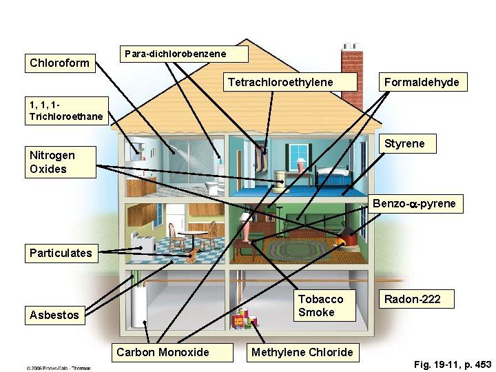 Chloroform Para-dichlorobenzene Tetrachloroethylene Formaldehyde 1, 1, 1 Trichloroethane Styrene Nitrogen Oxides Benzo-a-pyrene Particulates Tobacco