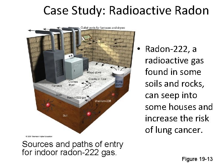 Case Study: Radioactive Radon • Radon-222, a radioactive gas found in some soils and