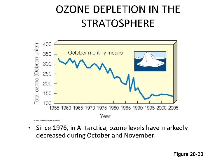 OZONE DEPLETION IN THE STRATOSPHERE • Since 1976, in Antarctica, ozone levels have markedly