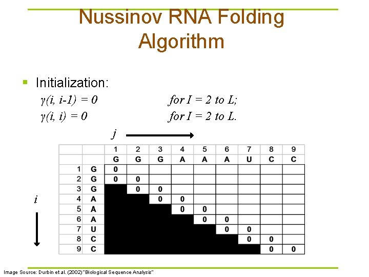 Nussinov RNA Folding Algorithm § Initialization: γ(i, i-1) = 0 γ(i, i) = 0