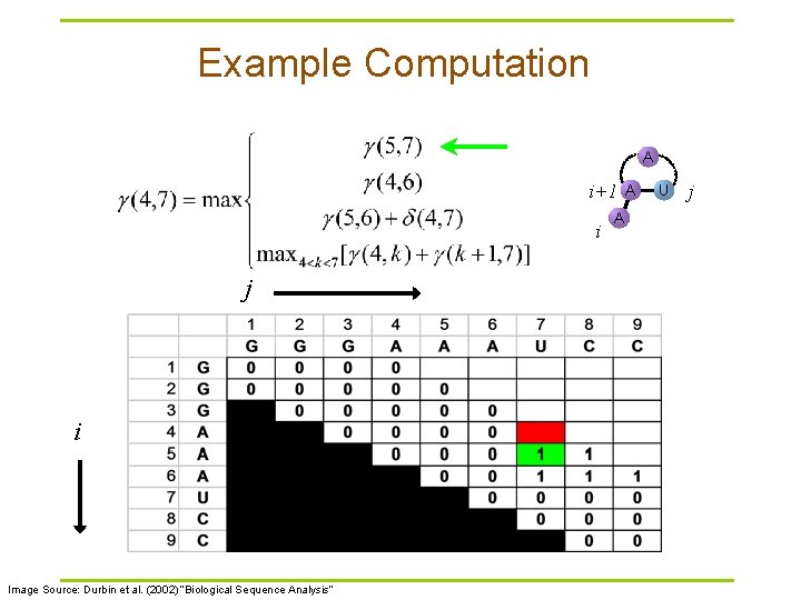 Example Computation A i+1 i j i Image Source: Durbin et al. (2002) “Biological