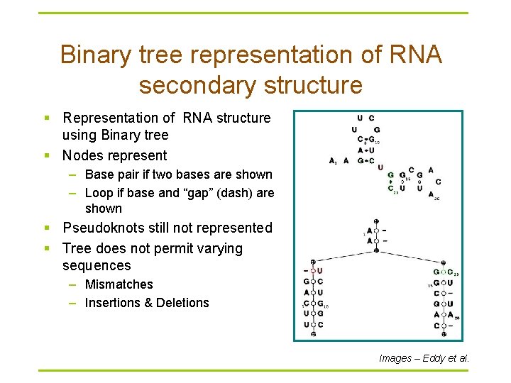 Binary tree representation of RNA secondary structure § Representation of RNA structure using Binary