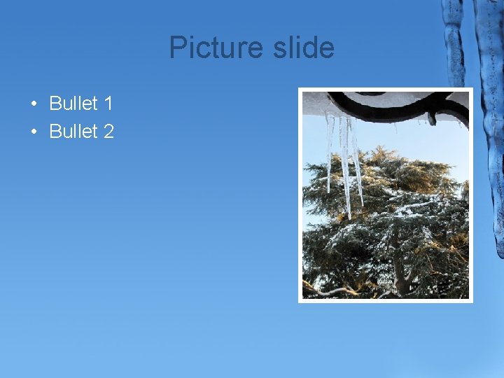 Picture slide • Bullet 1 • Bullet 2 