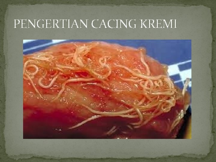 PENGERTIAN CACING KREMI 