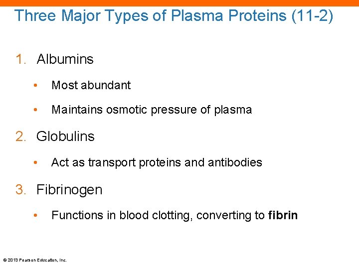 Three Major Types of Plasma Proteins (11 -2) 1. Albumins • Most abundant •