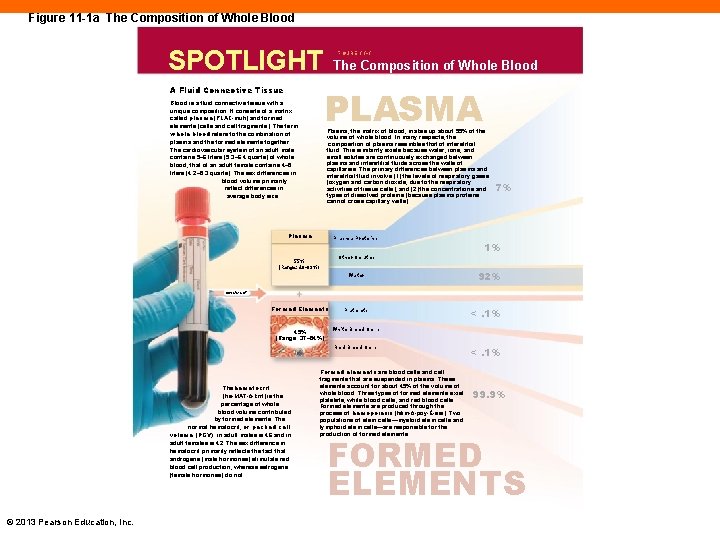 Figure 11 -1 a The Composition of Whole Blood SPOTLIGHT FIGURE 11 -1 The