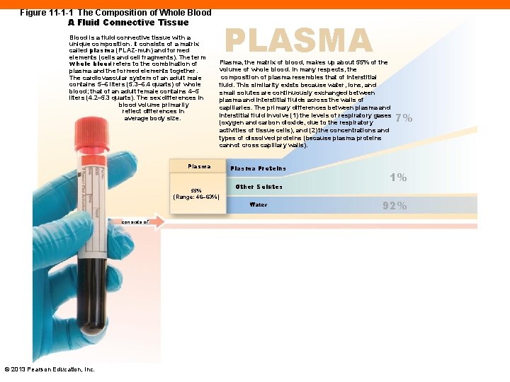 Figure 11 -1 -1 The Composition of Whole Blood A Fluid Connective Tissue Blood