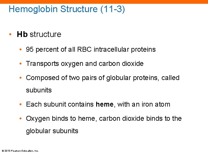 Hemoglobin Structure (11 -3) • Hb structure • 95 percent of all RBC intracellular