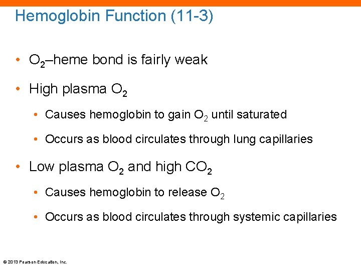 Hemoglobin Function (11 -3) • O 2–heme bond is fairly weak • High plasma