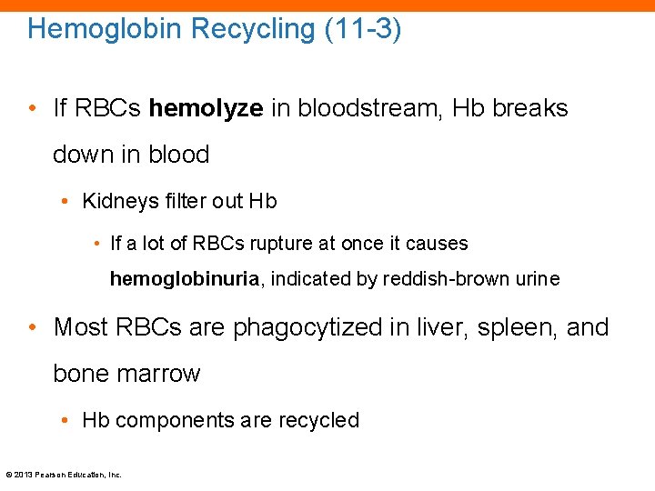 Hemoglobin Recycling (11 -3) • If RBCs hemolyze in bloodstream, Hb breaks down in