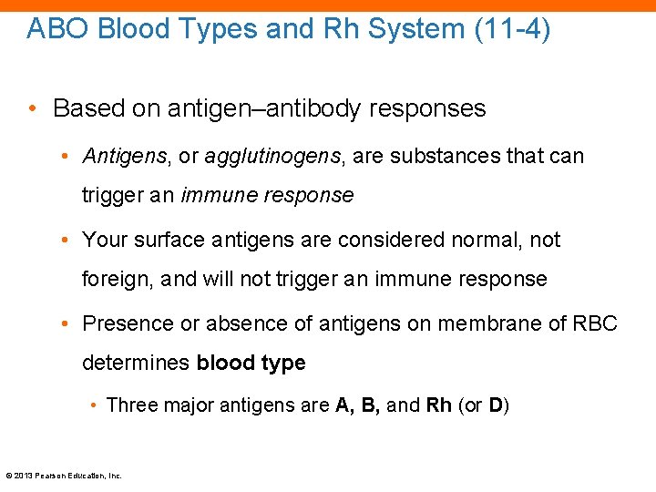 ABO Blood Types and Rh System (11 -4) • Based on antigen–antibody responses •