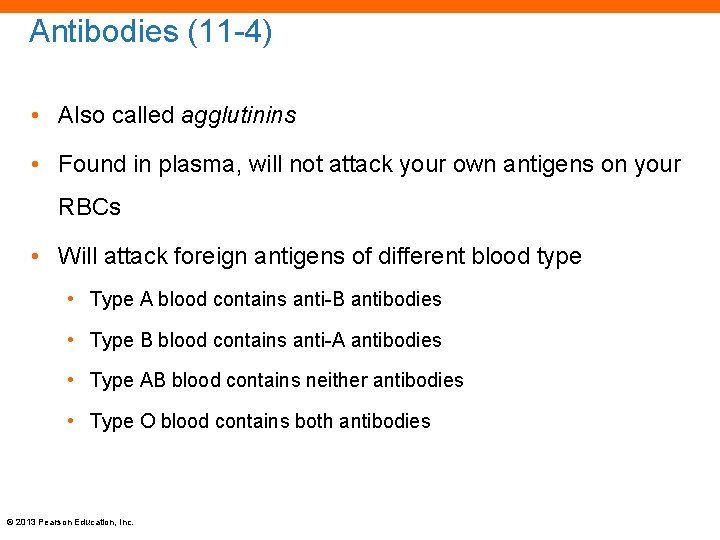 Antibodies (11 -4) • Also called agglutinins • Found in plasma, will not attack
