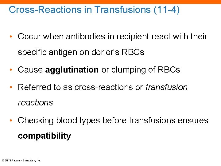 Cross-Reactions in Transfusions (11 -4) • Occur when antibodies in recipient react with their