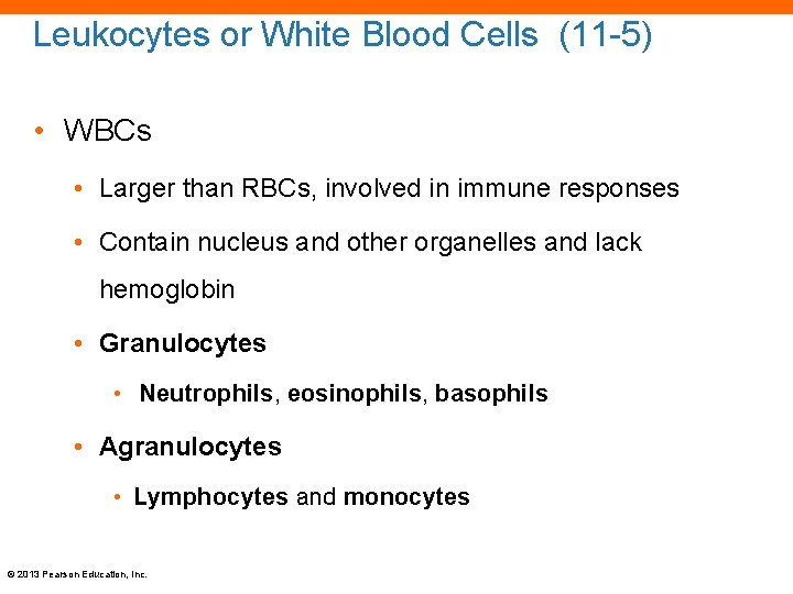 Leukocytes or White Blood Cells (11 -5) • WBCs • Larger than RBCs, involved