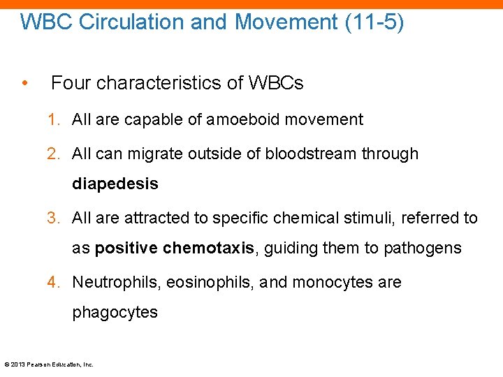 WBC Circulation and Movement (11 -5) • Four characteristics of WBCs 1. All are