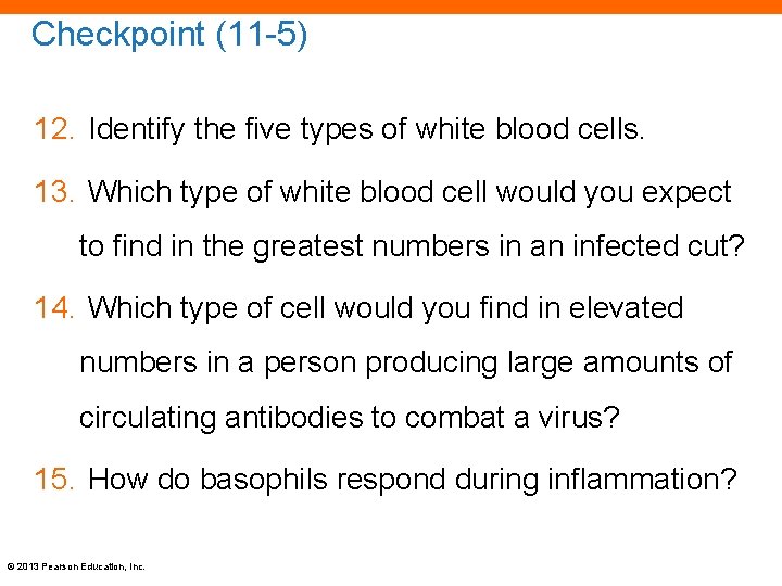 Checkpoint (11 -5) 12. Identify the five types of white blood cells. 13. Which