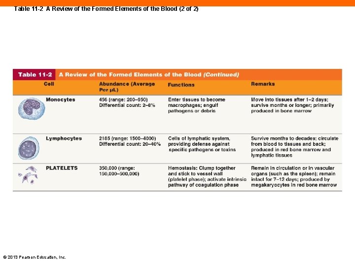 Table 11 -2 A Review of the Formed Elements of the Blood (2 of